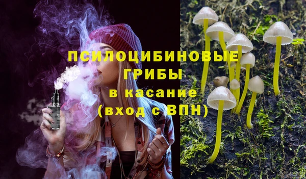 молекула духа Осташков