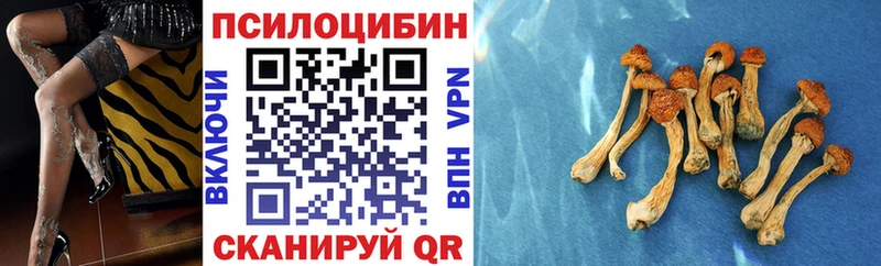 Псилоцибиновые грибы MAGIC MUSHROOMS  MEGA сайт  Талдом 